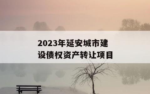 2023年延安城市建设债权资产转让项目