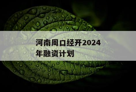 河南周口经开2024年融资计划