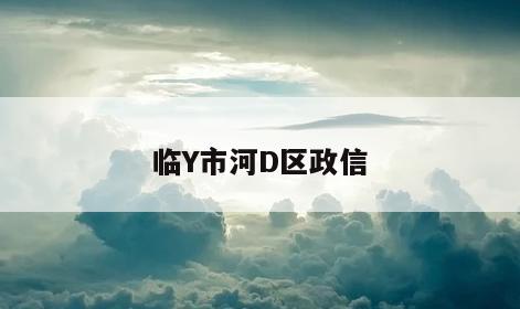 临Y市河D区政信