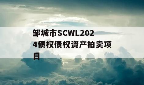 邹城市SCWL2024债权债权资产拍卖项目