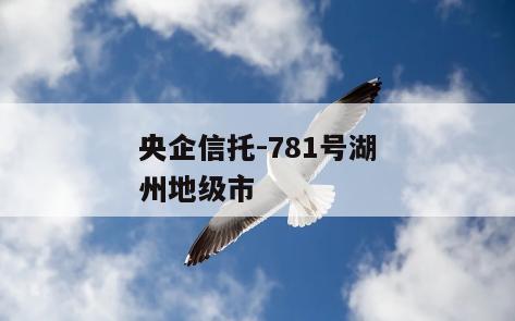 央企信托-781号湖州地级市