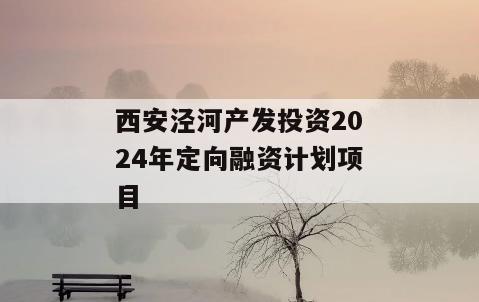 西安泾河产发投资2024年定向融资计划项目