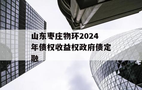 山东枣庄物环2024年债权收益权政府债定融
