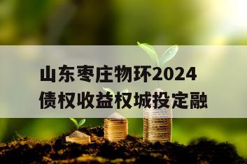 山东枣庄物环2024债权收益权城投定融