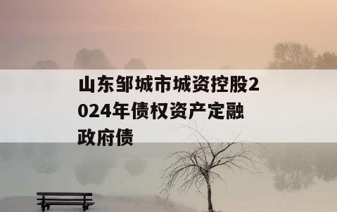 山东邹城市城资控股2024年债权资产定融政府债