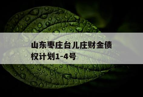 山东枣庄台儿庄财金债权计划1-4号