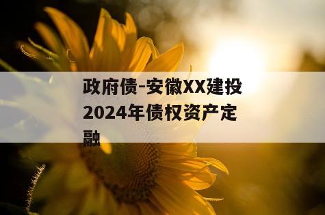 政府债-安徽XX建投2024年债权资产定融