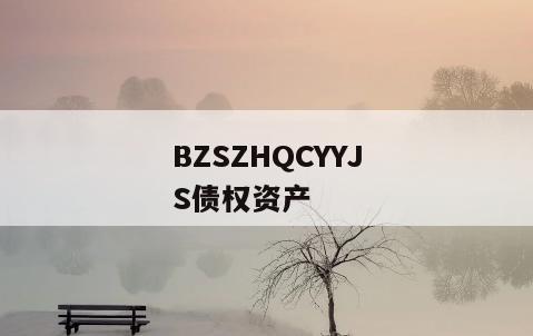 BZSZHQCYYJS债权资产