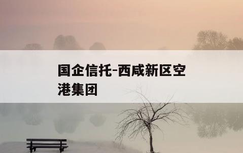 国企信托-西咸新区空港集团