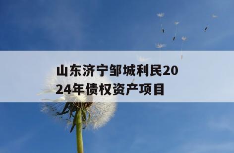 山东济宁邹城利民2024年债权资产项目