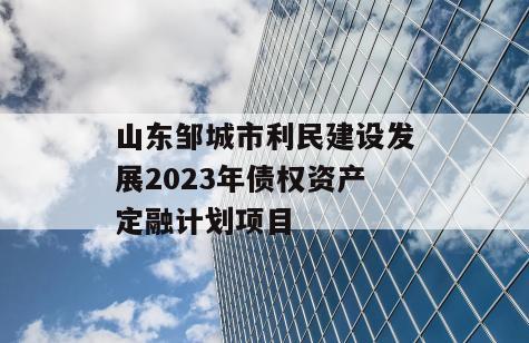 山东邹城市利民建设发展2023年债权资产定融计划项目