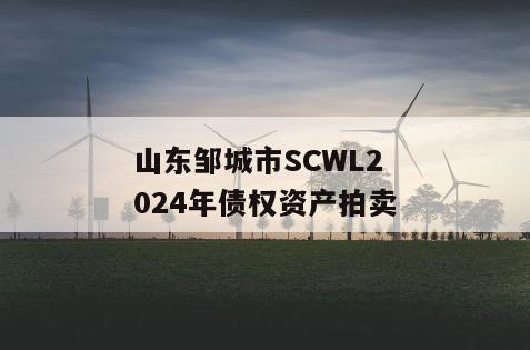 山东邹城市SCWL2024年债权资产拍卖