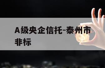 A级央企信托-泰州市非标