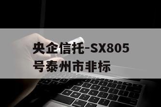 央企信托-SX805号泰州市非标
