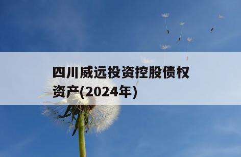 四川威远投资控股债权资产(2024年)