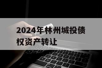 2024年林州城投债权资产转让