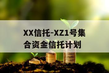 XX信托-XZ1号集合资金信托计划