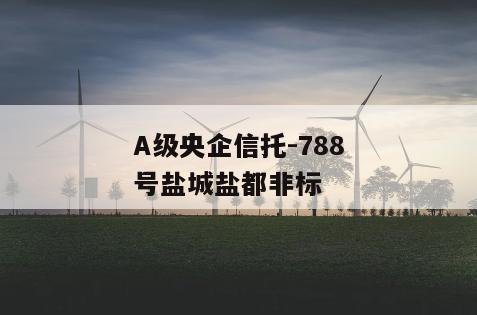 A级央企信托-788号盐城盐都非标