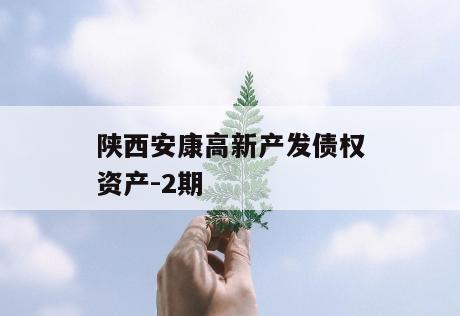 陕西安康高新产发债权资产-2期