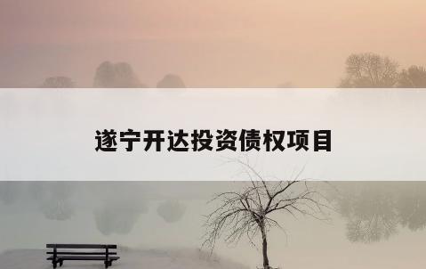 遂宁开达投资债权项目