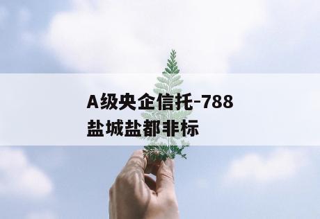 A级央企信托-788盐城盐都非标