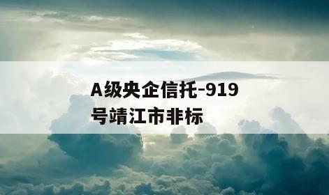 A级央企信托-919号靖江市非标