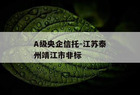 A级央企信托-江苏泰州靖江市非标