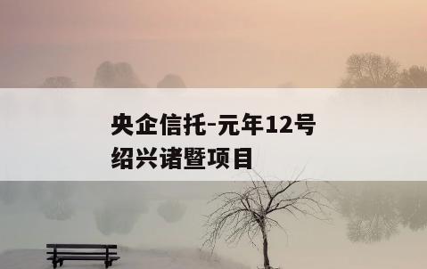 央企信托-元年12号绍兴诸暨项目