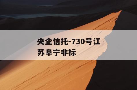 央企信托-730号江苏阜宁非标