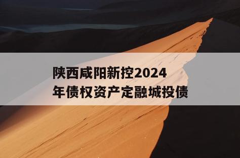 陕西咸阳新控2024年债权资产定融城投债