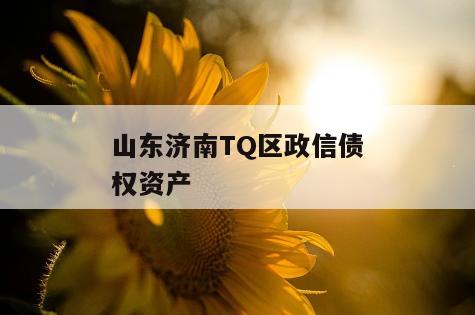 山东济南TQ区政信债权资产