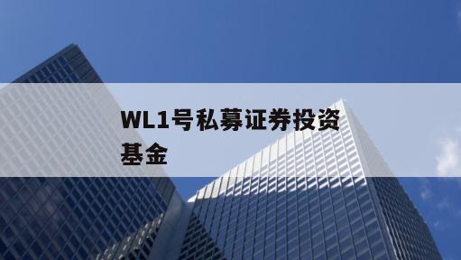 WL1号私募证券投资基金