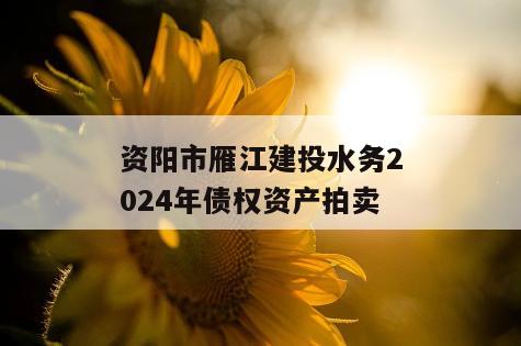 资阳市雁江建投水务2024年债权资产拍卖