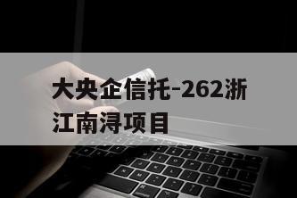 大央企信托-262浙江南浔项目
