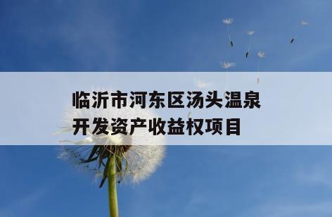 临沂市河东区汤头温泉开发资产收益权项目