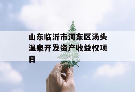 山东临沂市河东区汤头温泉开发资产收益权项目