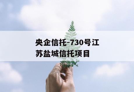 央企信托-730号江苏盐城信托项目