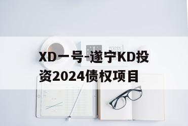 XD一号-遂宁KD投资2024债权项目