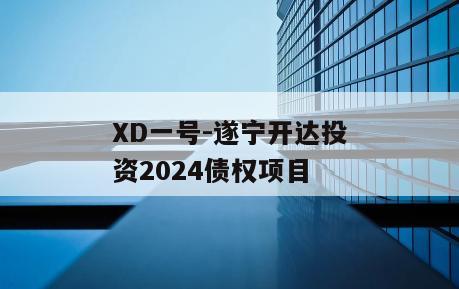XD一号-遂宁开达投资2024债权项目