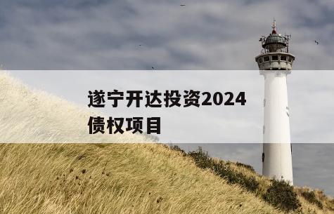 遂宁开达投资2024债权项目