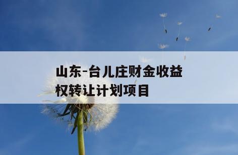 山东-台儿庄财金收益权转让计划项目