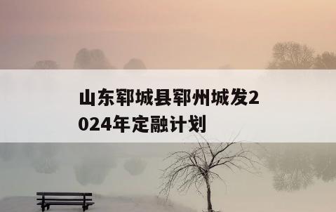 山东郓城县郓州城发2024年定融计划