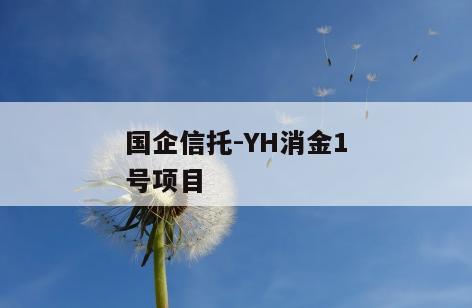 国企信托-YH消金1号项目
