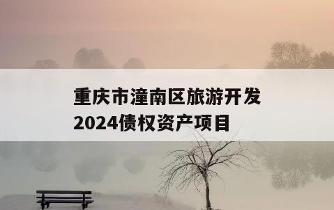 重庆市潼南区旅游开发2024债权资产项目