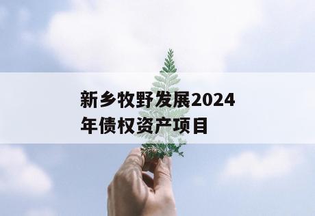 新乡牧野发展2024年债权资产项目