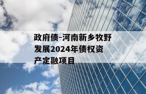 政府债-河南新乡牧野发展2024年债权资产定融项目