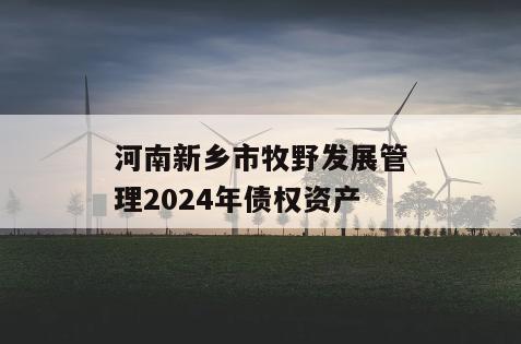 河南新乡市牧野发展管理2024年债权资产