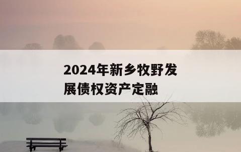 2024年新乡牧野发展债权资产定融