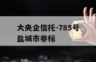 大央企信托-785号盐城市非标
