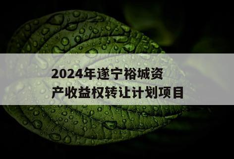 2024年遂宁裕城资产收益权转让计划项目